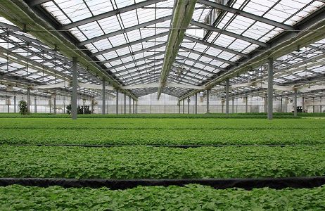 ���ܜ��Ҵ���